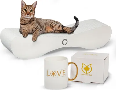 Produktbild von Special-Bundle · WHITE EDITION · Kratzbrett Satellite 2.0 + Limitierte Tasse LOVE