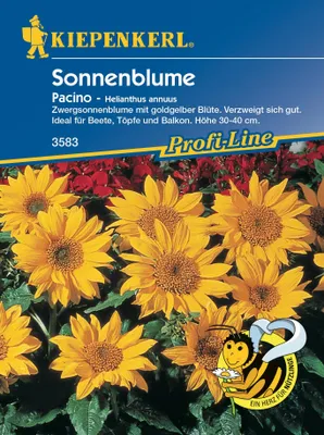 Produktbild von Sonnenblume Pacino | Sonnenblumensamen von Kiepenkerl [MHD 01/2027]