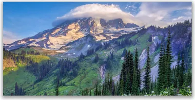 Produktbild von Acrylglasbilder 120x60 Wandbild Druck Gebirge Wald Landschaft