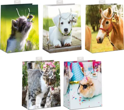 Produktbild von 10 Geschenktaschen, Sortiment, Large / A4-Format Tiere 25,00 € pro Tüte 2,50