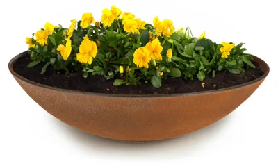Immagine prodotto di Fioriera piatta per esterni Ciotola decorativa rotonda effetto ruggine 28 cm