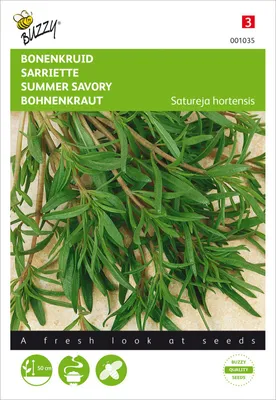 Produktbild von Bohnenkraut Einjährig | Bohnenkrautsamen von Buzzy Seeds