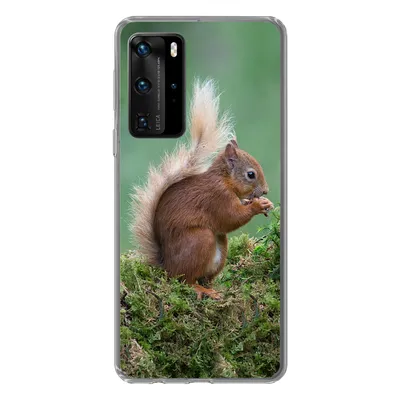 Produktbild von MuchoWow® Handyhülle Schutzhülle Hülle für Huawei P40 Pro Waldtier - Eichhörnchen - Moos Silikon Softcase Handy Hülle - Schutz