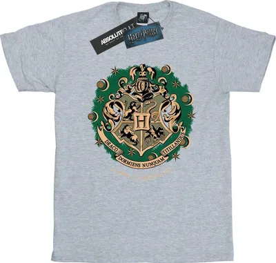 Produktbild von Harry Potter - T-Shirt für Damen BI26524 (L) (Grau)