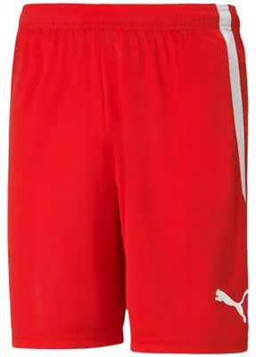Obrázek produktu pro Puma - Pánské šortky „Team Liga“ MR718 (S) (červené)