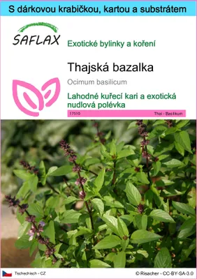 Obrázek produktu pro SAFLAX Dárková sada - thajská bazalka - Ocimum basilicum - 200 Semena - S dárkovou krabičkou, přepravním štítkem, dárkovou kartou a pěstebním médiem