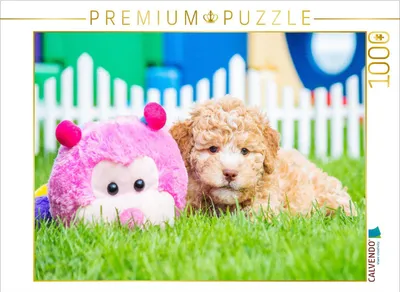 Produktbild von CALVENDO Puzzle Kuschelstunde | 1000 Teile Lege-Größe 64x48cm Foto-Puzzle für glückliche Stunden