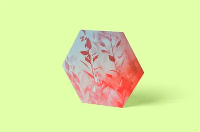 Produktbild von Kornblüte Hexagon Wandbild | Größe in cm: 20 x 20