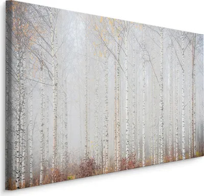 Produktbild von Fabelhafte Canvas LEINWAND BILDER 90x60 cm XXL Kunstdruck Wald Bäume Birken Nebel