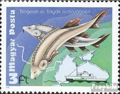 Produktbild von Briefmarken Ungarn 1979 Mi 3369A (kompl.Ausg.) postfrisch Gewässerschutz