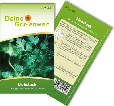 Liebstock Maggikraut Samen - Levisticum officinale - Liebstocksamen - Kräutersamen - Saatgut für 30 Pflanzen