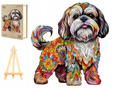 Produktbild von Pasjo24 Holzpuzzle Shih Tzu 260 Teile in Holzbox