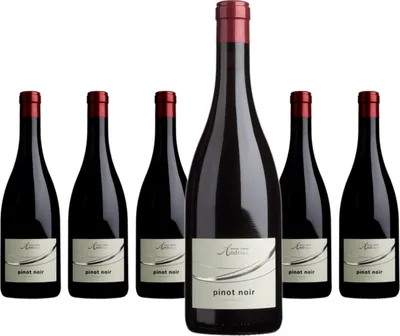 Produktbild von 6 x Cantina Andrian pinot noir DOC