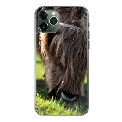 Produktbild von MuchoWow® Handyhülle Schutzhülle Hülle für iPhone 11 Pro Schottischer Highlander - Hörner - Sonne Silikon Softcase Handy Hülle - Handy