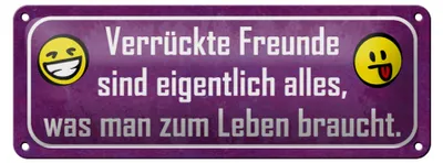 Produktbild von Blechschild Spruch 27x10cm verrückte Freunde sind alles was Dekoration