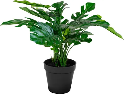 Image de Monstera plante artificielle H45 cm verte.