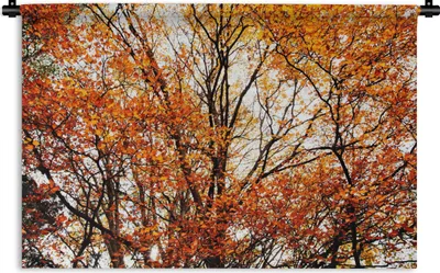 Produktbild von MuchoWow® Wandteppich Wandbehang Wald - Herbst - Jahreszeiten 120x80 cm Tapisserie Dekoration Wandtuch - Wanddekorationen - Wandtücher
