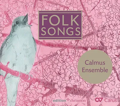 Produktbild von Folk Songs