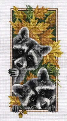 Produktbild von Panna Kreuzstichset "Neugierige Waschbären" 15x27cm, Zählmuster