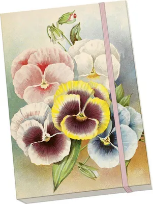 Productafbeelding van Notýsek Pastel Lentepansie