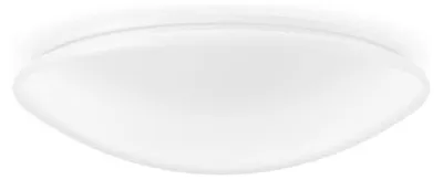 Obrázok produktu pre RZB LED nástenné a stropné svietidlo 672134.002.5.1.19