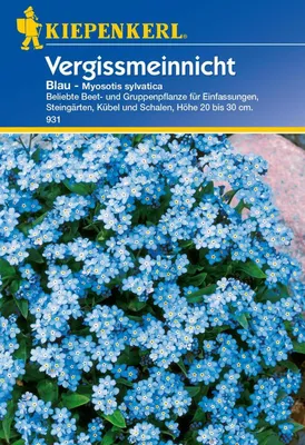 Produktbild von Vergissmeinnicht blau