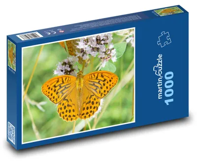 Obrázek produktu pro Puzzle 1000 Motýl na květině - martinpuzzle