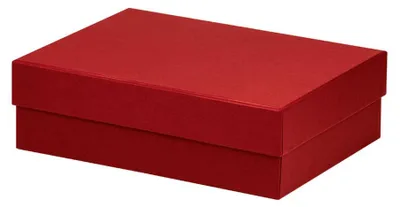 Immagine prodotto di Confezione regalo Boxline 196x264x80mm rosso