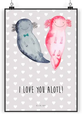 Produktbild von Mr. & Mrs. Panda Bild Axolotl Liebe DIN A3 - Grau Pastell - Geschenk, Freund, kunstdruck poster, für Frauen, Partner, drucke, Wandbild, Freundin, Hochzeitstag, wanddeko