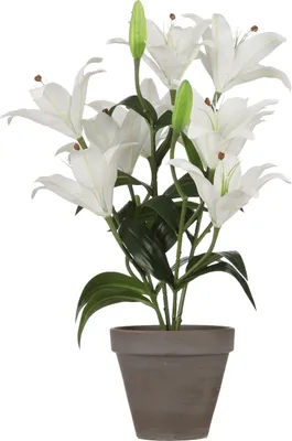 Produktbild von Mica Decorations Tigerlilien Kunstpflanze im Blumentopf Stan - H47 x Ø45 cm - Weiß