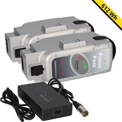 Produktbild von 2x E-Bike Vision PowerPack Panasonic 36V 17Ah 612Wh + 4A Ladegerät