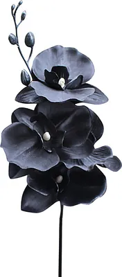 Immagine prodotto di Phalaenopsis artificiale, 43 cm, per decorazione di matrimoni, casa, giardino