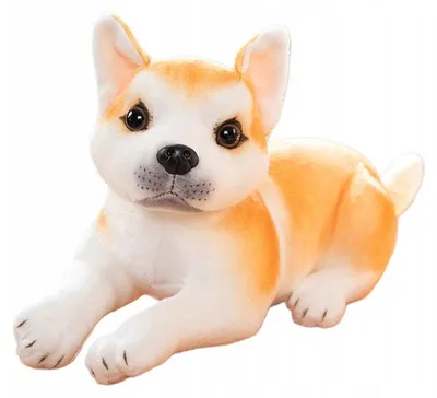 Produktbild von Granda Liegender Husky Shiba Hund Kuschelplüschtier 25 cm