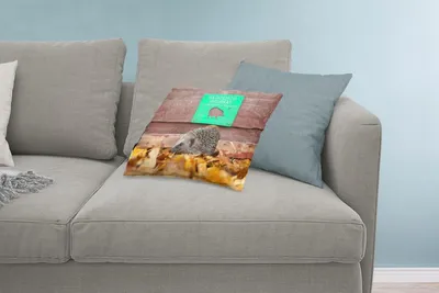 Produktbild von MuchoWow® Zierkissen Sofakissen Wohnzimmer Dekokissen 60x40 cm Igel läuft durch den Zaun - Kopfkissen - Polster mit Foto
