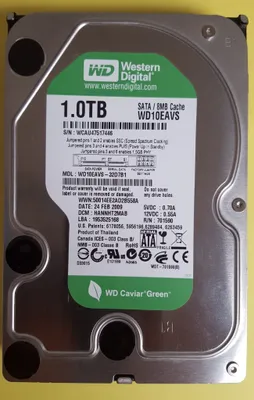 Produktbild von Western Digital WD10EAVS 1000GB SATA-II 3,5"