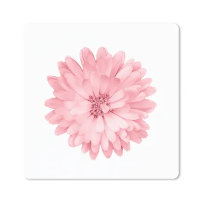Produktbild von MuchoWow® Mauspad Mousepad Blumen - Rosa - Kamille 20x20 cm - Mousepads - Maus Mat - Pad - Mausunterlage - Desk Mat - Bureauartikeln