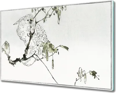 Produktbild von Coloray Hackbrett Kochplattenabdeckung Herdabdeckplatte 80x52 cm Schneidebrett Küchenbrett - Zweig verlässt Haustier Papagei