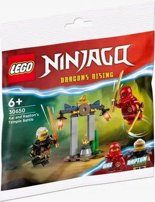 Zdjęcie produktu dla LEGO NINJAGO Bitwa Kaia i Raptona w świątyni, Zestaw do budowania, 6 lat(a), Plastik, 47 szt., 32 g