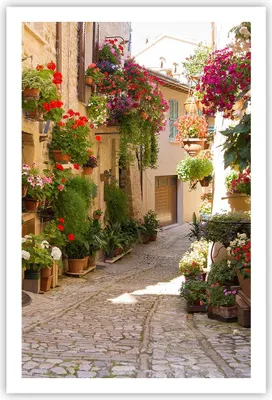 Produktbild von Poster - Poster ohne Rahmen - Blume Straße Haus - 61x91,5 cm - Wand Bild - Wanddeko - Wandbilder - Kunstposter - Wandposter - Bilder - Kunstdruck - Wanddekoration - Wandbild - P2XPA61x91-3586