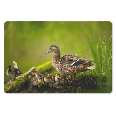 Produktbild von MuchoWow® Schreibtischunterlage Ente - Vögel - Wasser - Zweig - Moos 60x40 cm - XXL Mauspad - Großes Mauspad