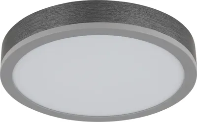 Image de Plafonnier LED, gris, rond, blanc chaud, D 30 cm