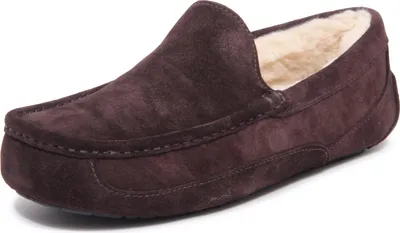 Obrázek produktu pro UGG Ascot pantofle pánské