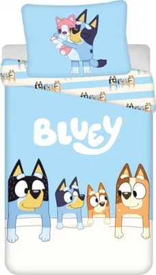 Produktbild von Bluey Family Bettwäsche 140×200cm, 70x90 cm