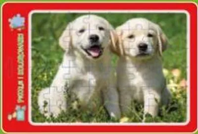 Image de Puzzles dans un cadre avec livre de coloriage. Chiots
