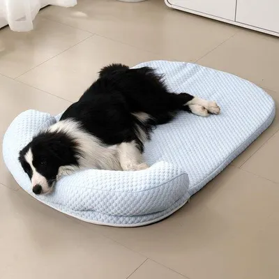 Immagine prodotto di Tappetino rinfrescante per cani, lavabile, blu, estate