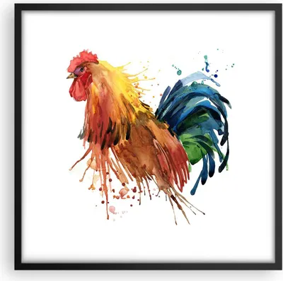 Produktbild von Gerahmtes Poster - Schwarzer Rahmen - Hahn Ilustration Tier Farben - 50x50 cm - Wand Bild - Wanddeko - Wandbilder - Wandposter - Bilderrahmen - Bilder - Kunstdruck - Wandbild - P2BAC50x50-2842