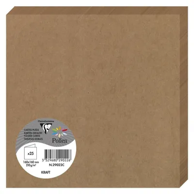 Image de Clairefontaine carte gef Pollen160x160 Kraft 200g
