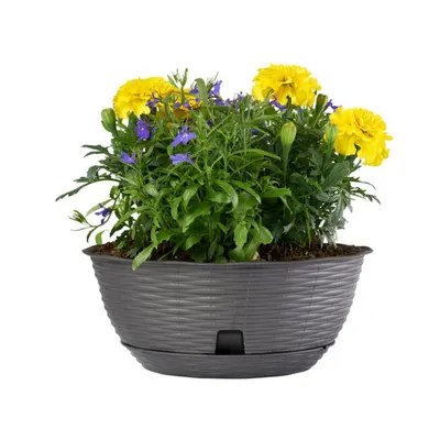 Produktbild von BAMA PAGLIA Blumentopf, Farbe anthrazit Menge: 1 Stück, Maße: 20 cm