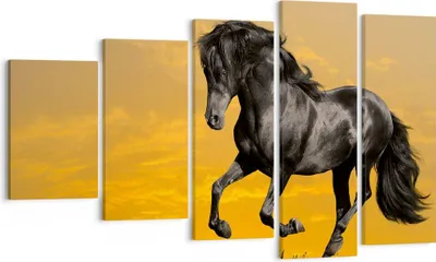Produktbild von Bild auf Leinwand - Leinwandbild - Tiere Pferd Laufen Wiese - 100x60cm - Wand Bild - Wanddeko - Leinwanddruck - Bilder - Kunstdruck - Wanddekoration - Leinwand bilder - Wandkunst - EG100x60-2248