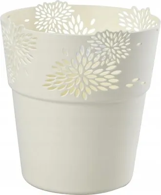 Productafbeelding van Beschutting Aster, 13 Cm, Kremkleur